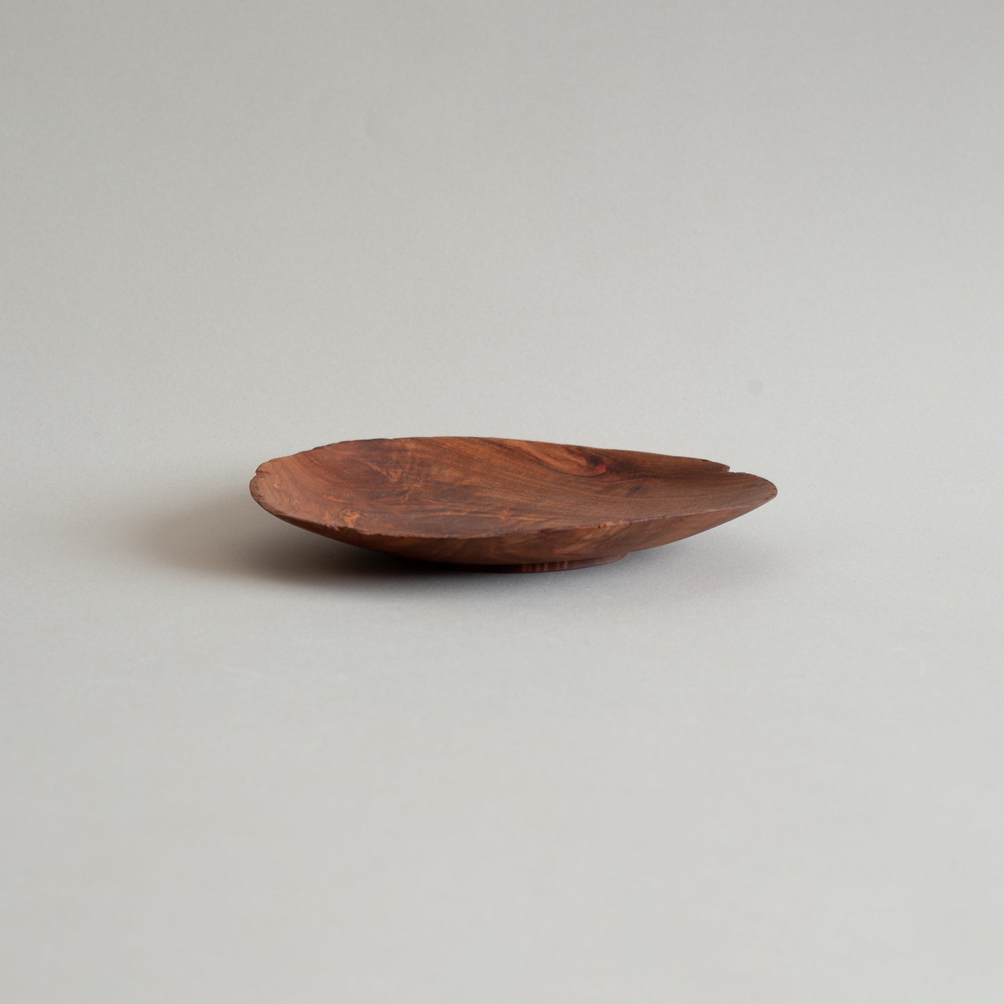 ホルトノキ プレート 18