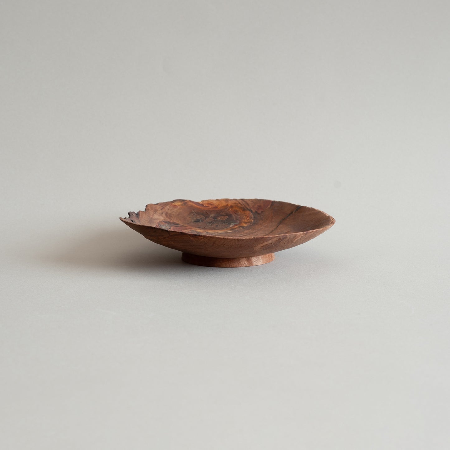 ホルトノキ プレート 17