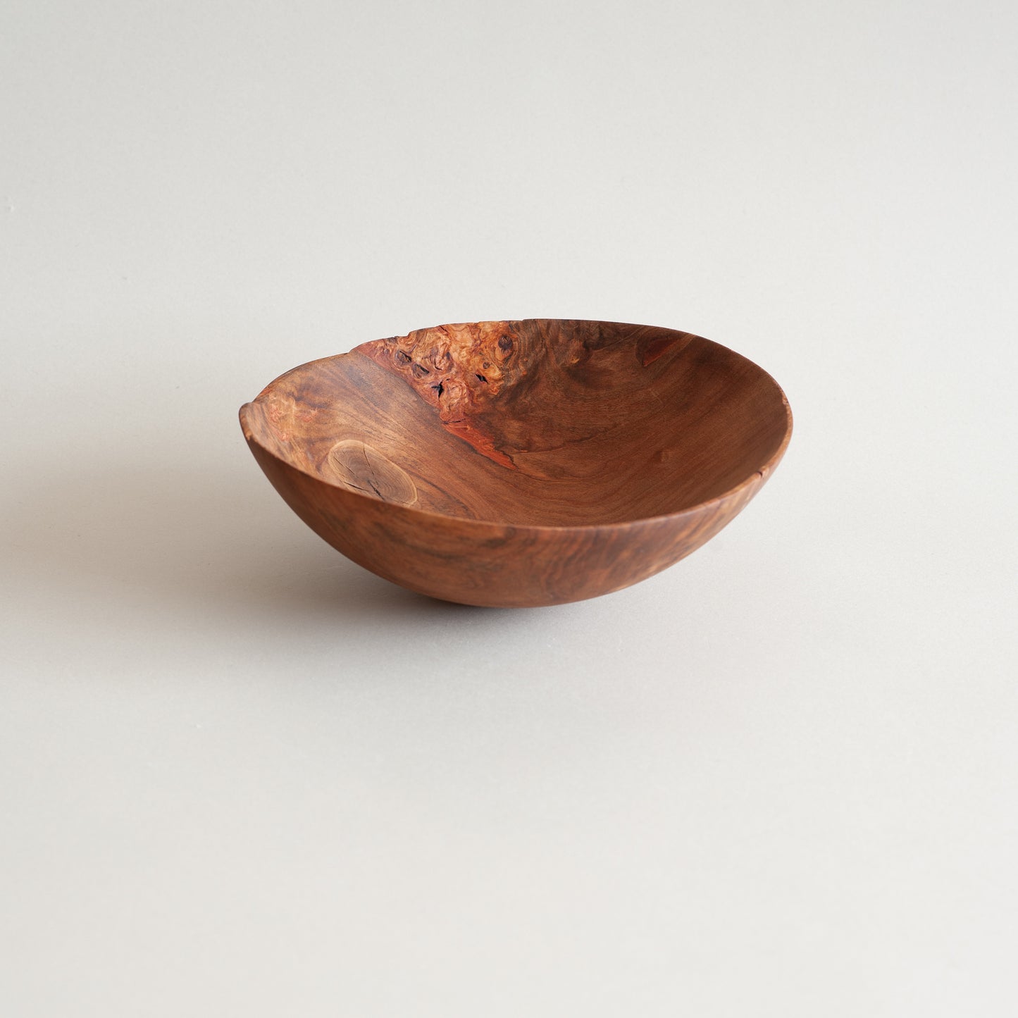 ホルトノキ ボウル 20