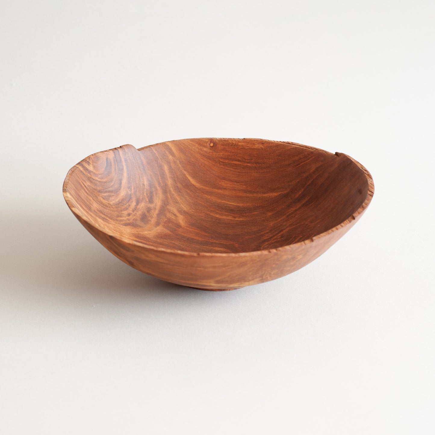 ホルトノキ ボウル 25