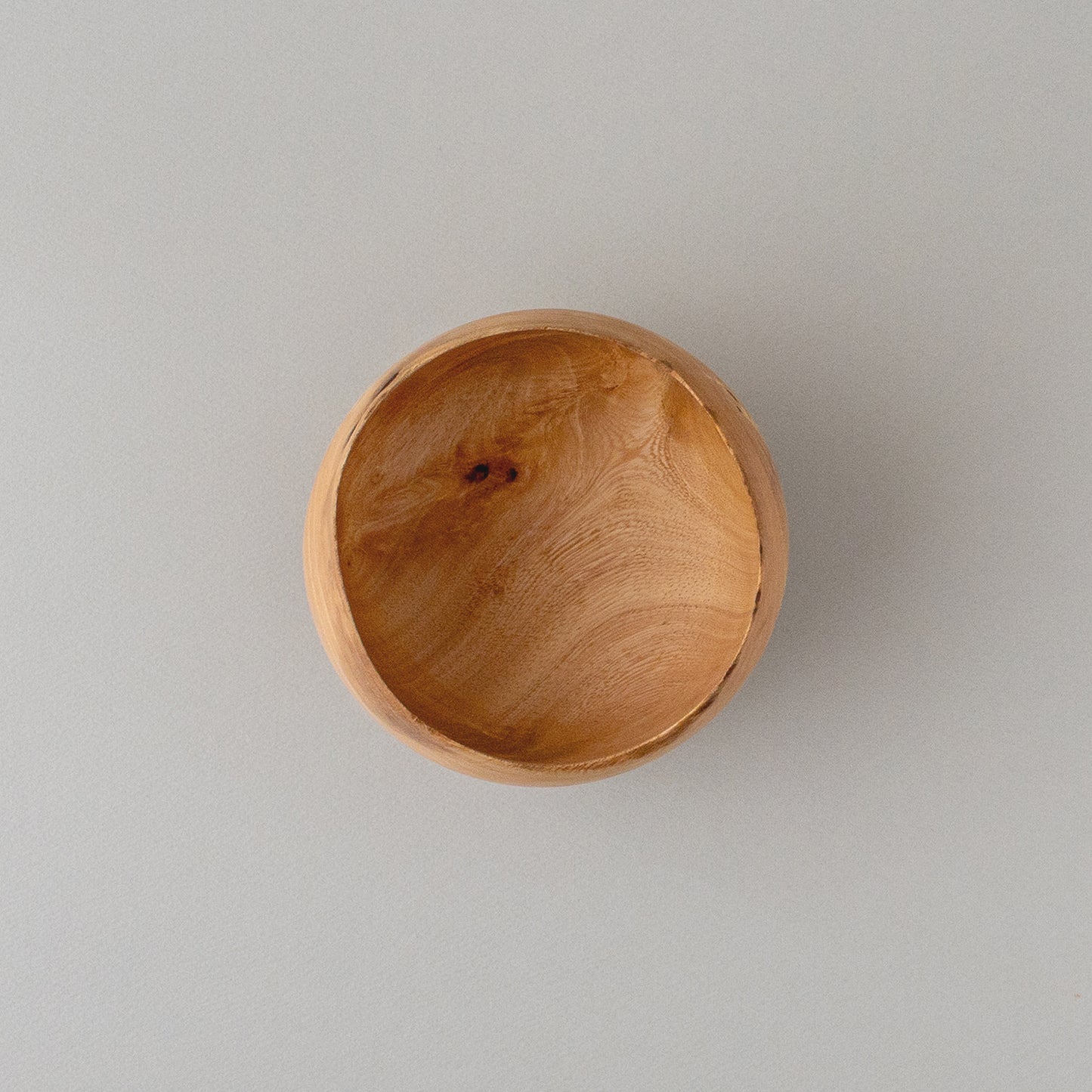 ガジュマル 高台 #1