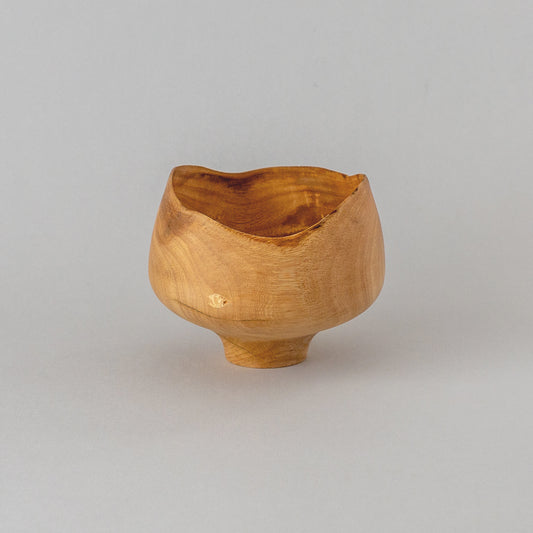 ガジュマル 高台 #1