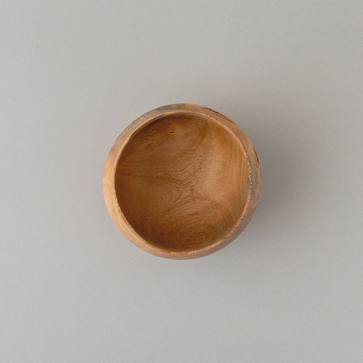 ガジュマル 高台 #2