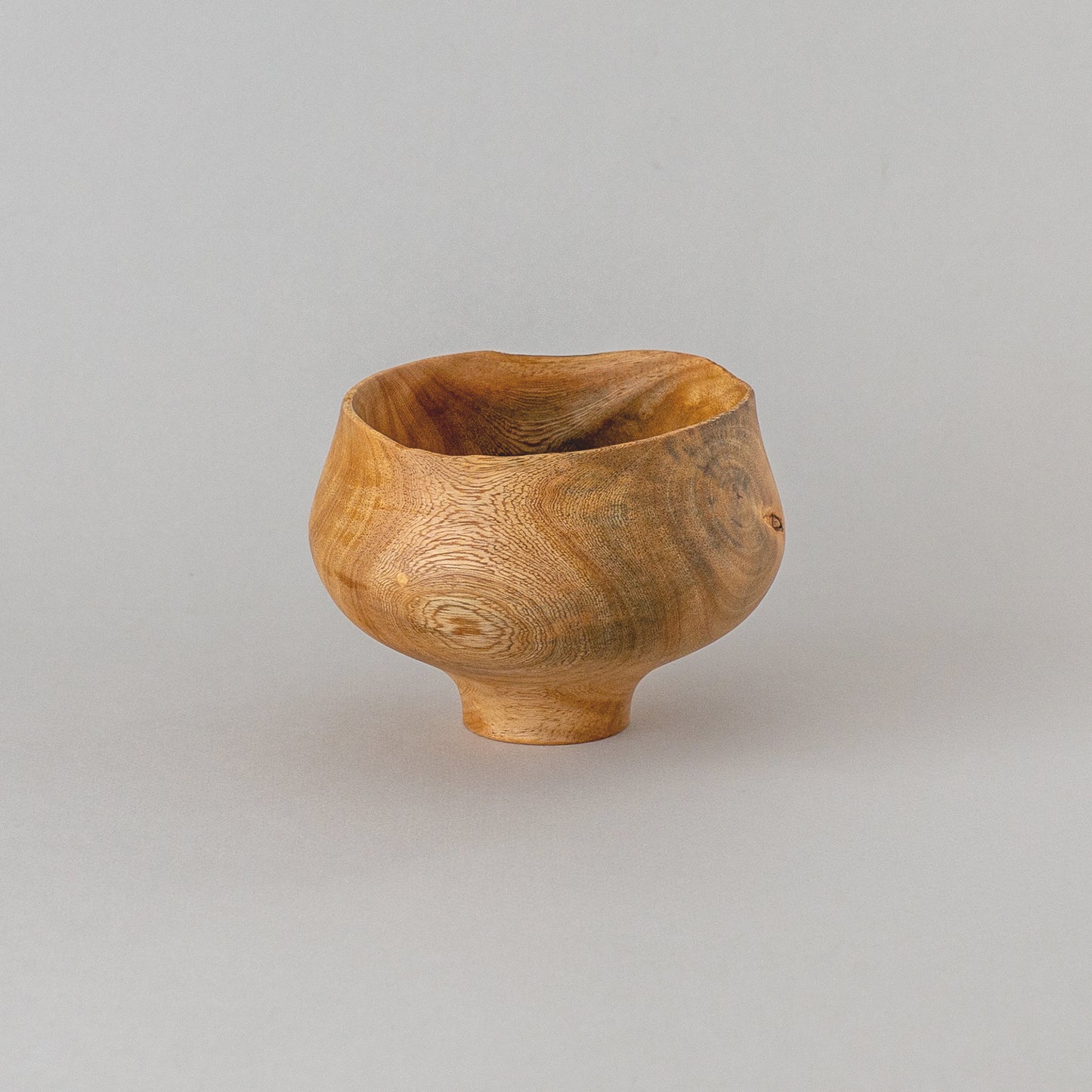 ガジュマル 高台 #2