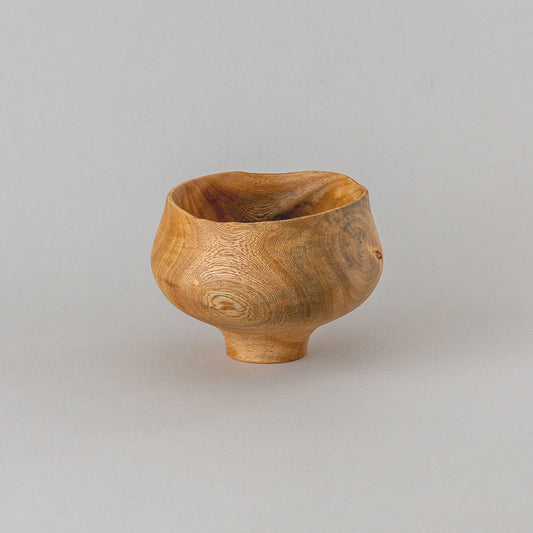 ガジュマル 高台 #2