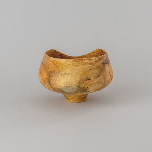 ガジュマル 高台 #3