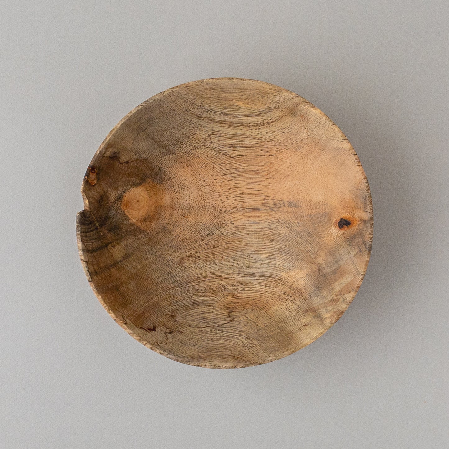 ガジュマル ボウル 21