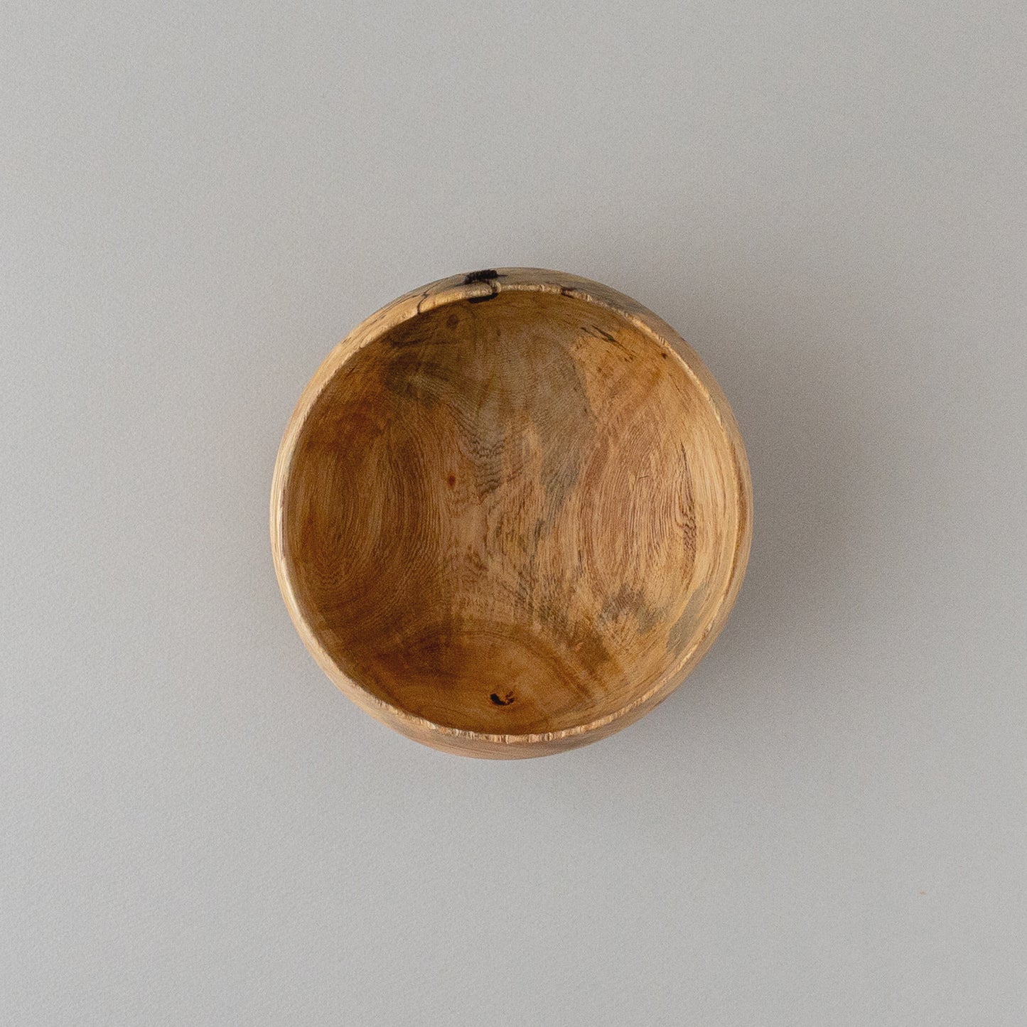 ガジュマル かけつぎ